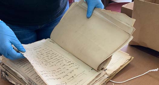 Project Violence in Iron and Silver